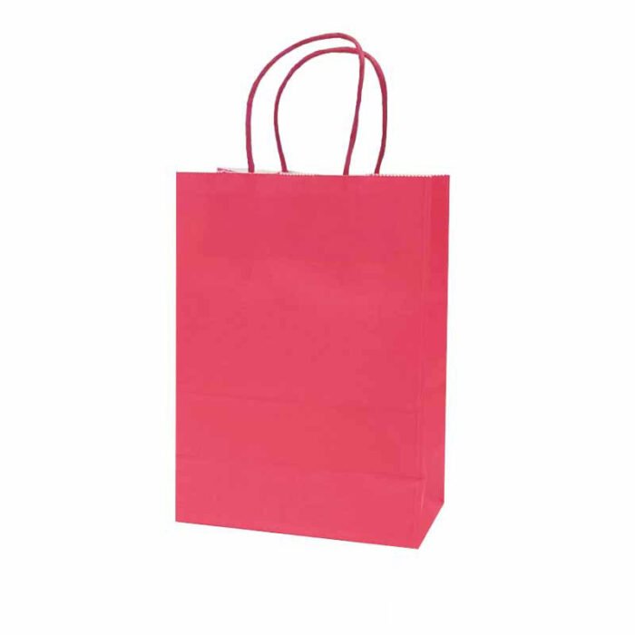 Solid Color Paper Gift Bag